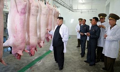 Kim Jong-un tươi cười khi thăm trang trại lợn của không quân