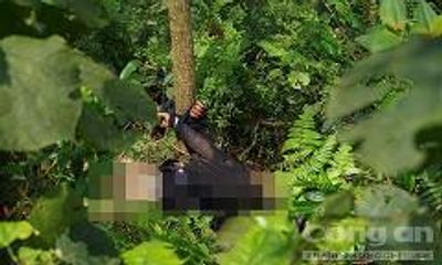 Lời khai nghi phạm 15 tuổi sát hại người phụ nữ, trói vào gốc cây
