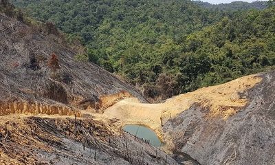 Vụ hủy hoại 63ha rừng tại Đắk Nông: 4 kiểm lâm bị đình chỉ công tác