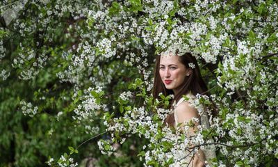 24h qua ảnh: Thiếu nữ Nga rạng rỡ giữa vườn hoa táo
