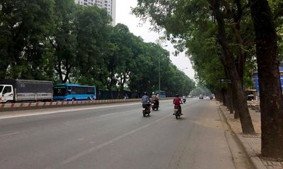 Di dời, chặt hạ 1.300 cây xanh ở đường Phạm Văn Đồng: Ưu tiên hàng đầu là bảo tồn cây
