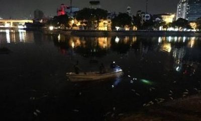 Cá chết hàng loạt tại hồ Hoàng Cầu nghi do sốc nhiệt
