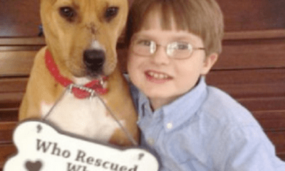Câu chuyện hy hữu về cậu bé tự kỷ 8 tuổi và chú chó bị bạo hành chờ chết