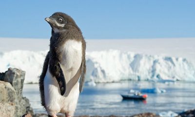 Không chỉ có băng tuyết và chim cánh cụt, Nam Cực đang nhiều thứ này đến mức quan sát được từ vũ trụ