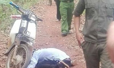 Đồng Nai: Phát hiện thi thể người đàn ông cạnh khu rừng tràm