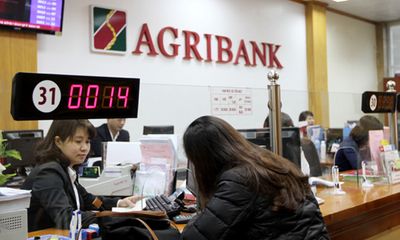 Agribank: Tín dụng tập trung phát triển sản xuất kinh doanh
