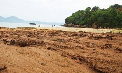 Chủ đầu tư trình giải pháp ngăn bùn đất đỏ từ dự án 'bạt núi' Sơn Trà tràn xuống biển