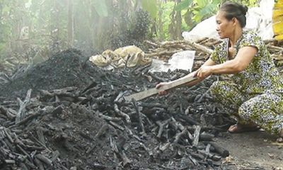 Tò mò nghề hầm than ở vùng đất “muỗi kêu như sáo thổi”