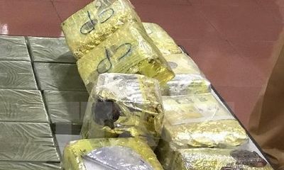 Tử hình kẻ vận chuyển thuê hơn 4,5 kg ma túy
