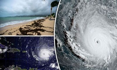 Siêu bão Irma lớn bằng cả nước Pháp đang tiến về phía Mỹ