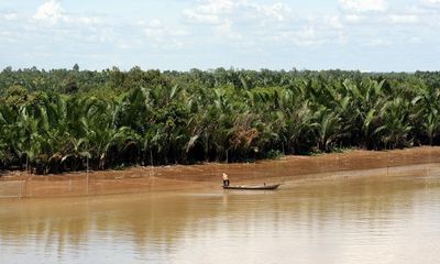 TP. HCM rót hơn 1.100 tỷ đồng vào khu Đông Sài Gòn để xây cầu, nạo vét sông
