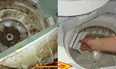 Bỏ túi mẹo làm sạch máy giặt chỉ với nước ấm và giấm ăn