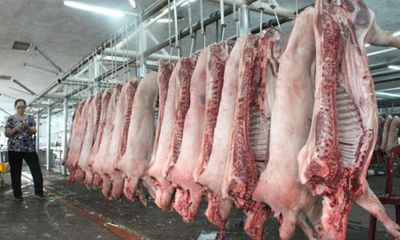 Người tiêu dùng Việt giảm mua thịt sau vụ heo bị tiêm thuốc an thần