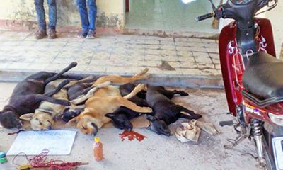 Công an Hà Nội khởi tố vụ người dân đánh chết thanh niên trộm chó