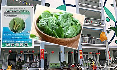 Rau tồn dư thuốc bảo vệ thực vật tại trường Hoàng Liệt: Kết quả chi tiết sẽ thế nào?