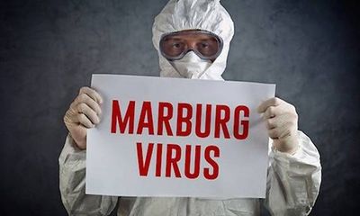 Virus gây tử vong nguy hiểm như Ebola chưa có văcxin điều trị