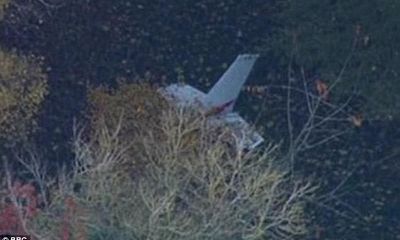 Hai máy bay va chạm trên không ở Anh, 4 người thiệt mạng