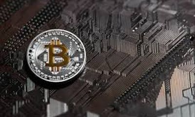 Giá bitcoin hôm nay 20/11: Giá bitcoin chính thức vượt mốc 8.000 USD