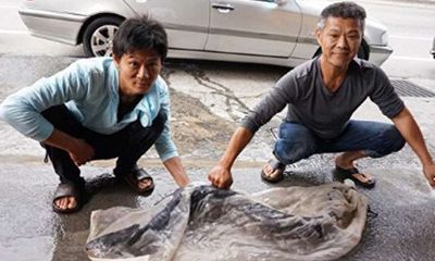 Hành động bất ngờ của người bắt được cá chình hoa khổng lồ 35 tuổi