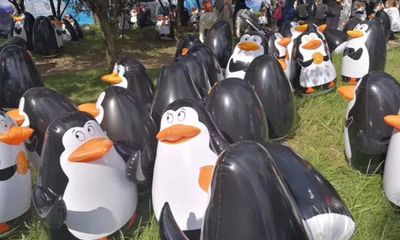 Thu vé 350 nghìn đồng, sở thú cho du khách xem chim cánh cụt... bơm hơi