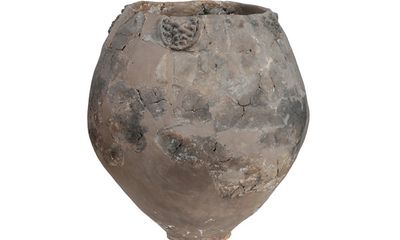 Phát hiện thùng rượu nho cổ nhất thế giới niên đại 8.000 năm tuổi