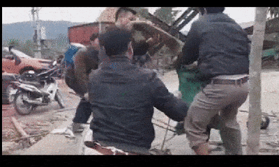 Video: Người dân vây bắt rắn 