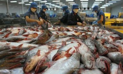 Việt Nam khiếu nại WTO về việc Mỹ áp thuế mặt hàng cá phi lê