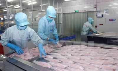 Việt Nam khiếu nại biện pháp chống bán phá giá cá tra, basa của Mỹ lên WTO