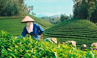 Nông nghiệp Thái Nguyên ứng dụng KHCN gia tăng năng suất chất lượng