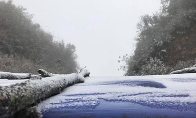 Nhiệt độ giảm sâu, tuyết lại phủ trắng đèo Ô Quý Hồ, Sa Pa