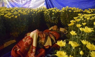Phóng sự ảnh: Cảnh màn trời chiếu đất trong giá lạnh của người bán hoa tết ở Đà Nẵng