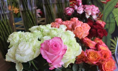 Hoa hồng được dịp “thét” giá, Socola trong hộp iPhone X hút khách ngày Valentine