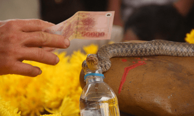 “Rắn thần” bị chuyển đi khỏi mộ, 260 triệu đồng tiền cúng rắn sẽ dùng thế nào?