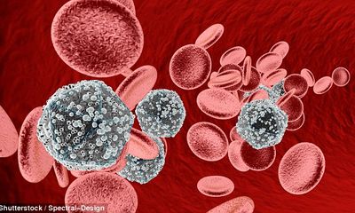Loại thuốc có khả năng tiêu diệt tận gốc loại virus HIV