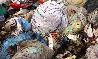 Hà Tĩnh: Kinh hoàng bãi rác bốc mù hôi thối, ruồi nhặng bay đầy nhà dân