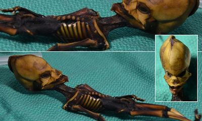 Giải mã bí ẩn của ‘bộ xương người ngoài hành tinh’ tìm thấy 15 năm trước