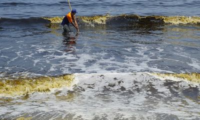 Xuất hiện tảo lạ trong nước biển đổi màu bất thường ở Đà Nẵng