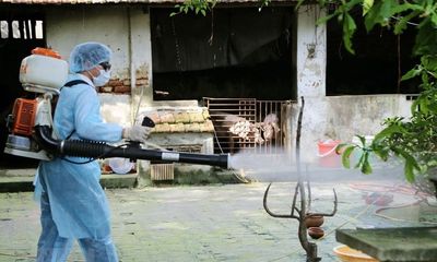 Xuất hiện ca tử vong đầu tiên trong năm do sốt xuất huyết ở Cà Mau