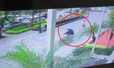 Video: Cẩu tặc táo tợn cướp chó trước sảnh chung cư ở Hà Nội
