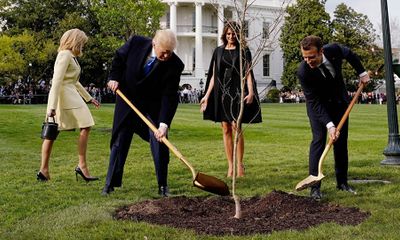 Lý do cây sồi Tổng thống Pháp trồng tại Nhà Trắng bỗng nhiên “mất tích”