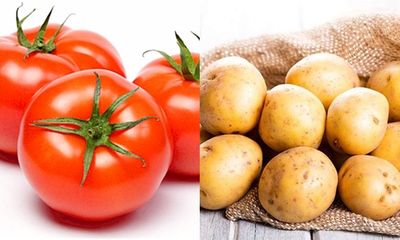 Bà nội trợ có biết những thực phẩm nào không nên nấu chung với cà chua?