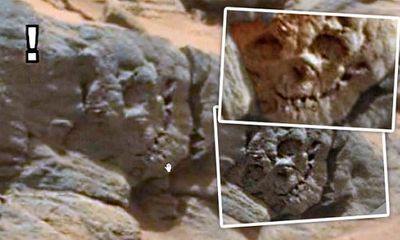 Hộp sọ hóa thạch trên sao Hỏa là bằng chứng của người ngoài hành tinh cổ đại?