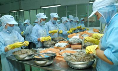 Hai lô tôm xuất khẩu của Việt Nam bị phát hiện có chất cấm