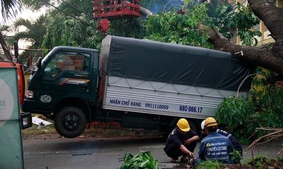 Gió lốc mạnh quét qua Sài Gòn, hàng loạt cây to gãy đổ