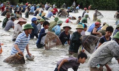 Hà Tĩnh: Nhộn nhịp cảnh cả trăm người lao xuống đầm bắt cá cầu may