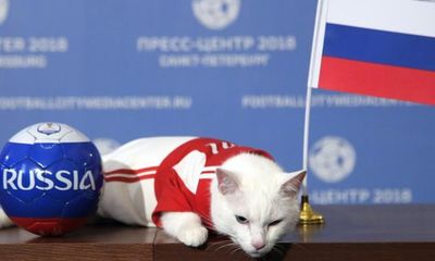 World Cup 2018: Mèo tiên tri Achilles dự đoán Nga thắng trận khai mạc