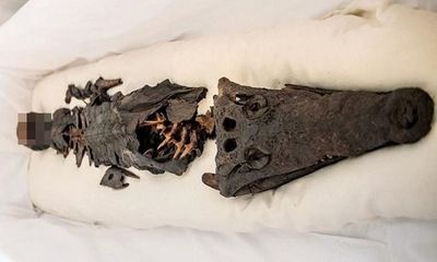 Video lộ diện xác ướp Ai Cập hai đầu trong truyền thuyết: Một đầu người, một đầu cá sấu 