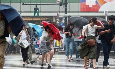 Siêu bão Jongdari đổ bộ Nhật Bản: 19 người bị thương, 100 chuyến bay bị hoãn lại