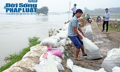 Hà Nội: Hơn 6.000 người dân Chương Mỹ sơ tán do ngập lụt