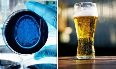Nghiên cứu 30 năm: Không uống rượu bia dễ... mất trí nhớ